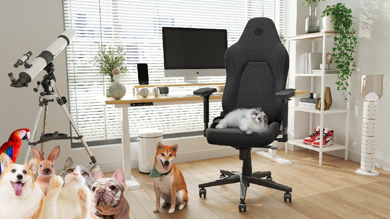 Pet-Friendly Gaming Chairs: Why Tech Fabric Is Better for Cat and Dog Owners